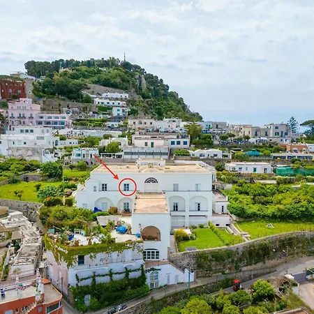 Palazzo - Seaview *