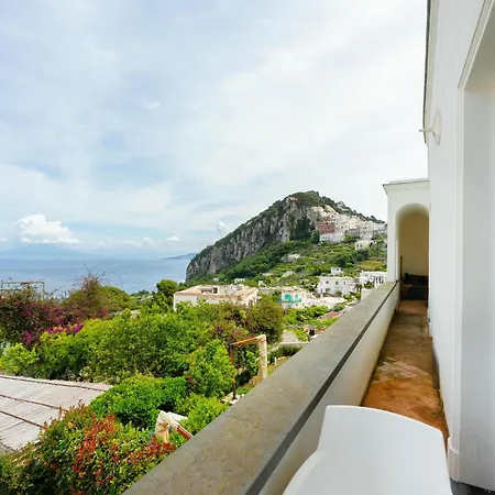 Palazzo - Seaview *